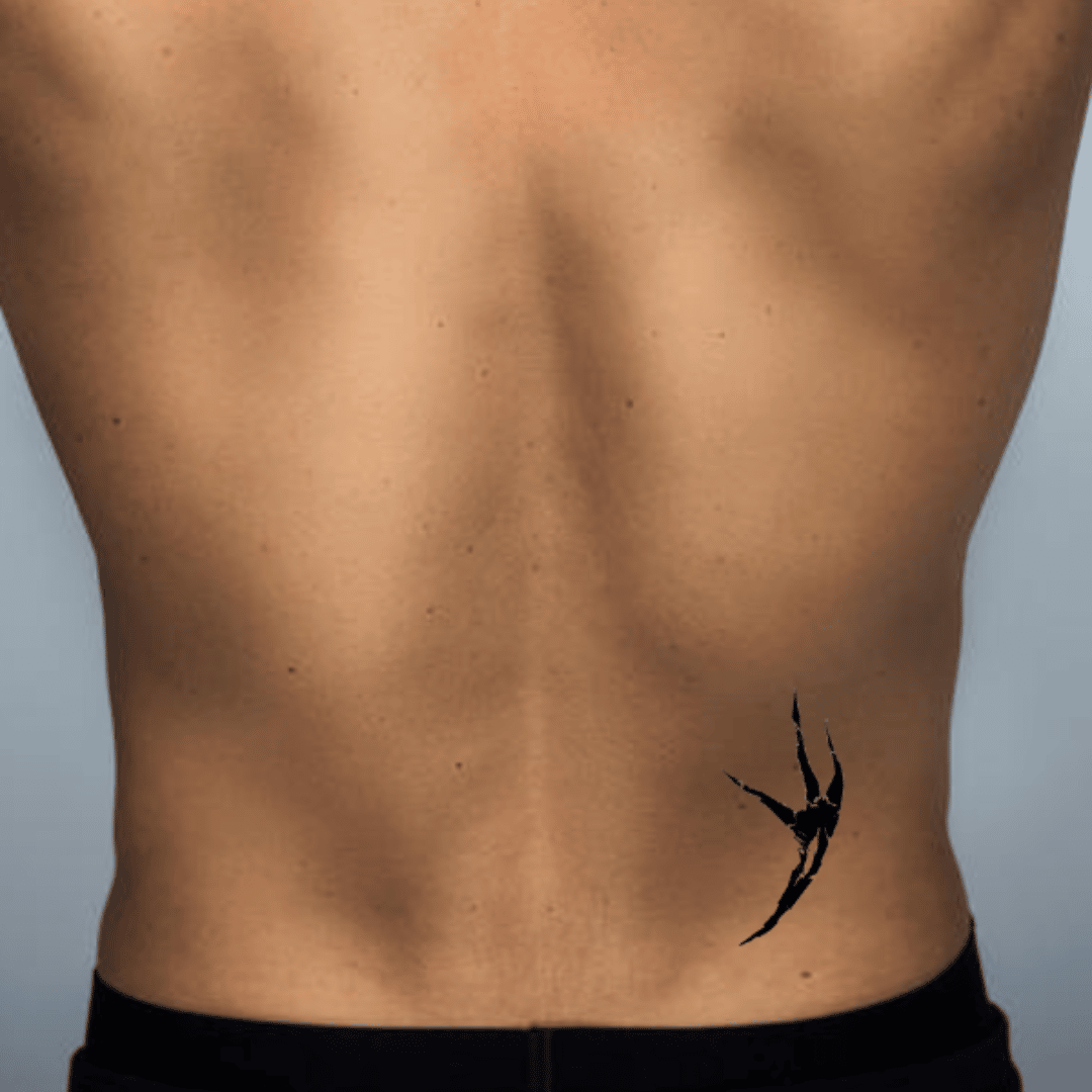 Le corps